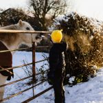 Boy in the snow stroking a pony through a gate