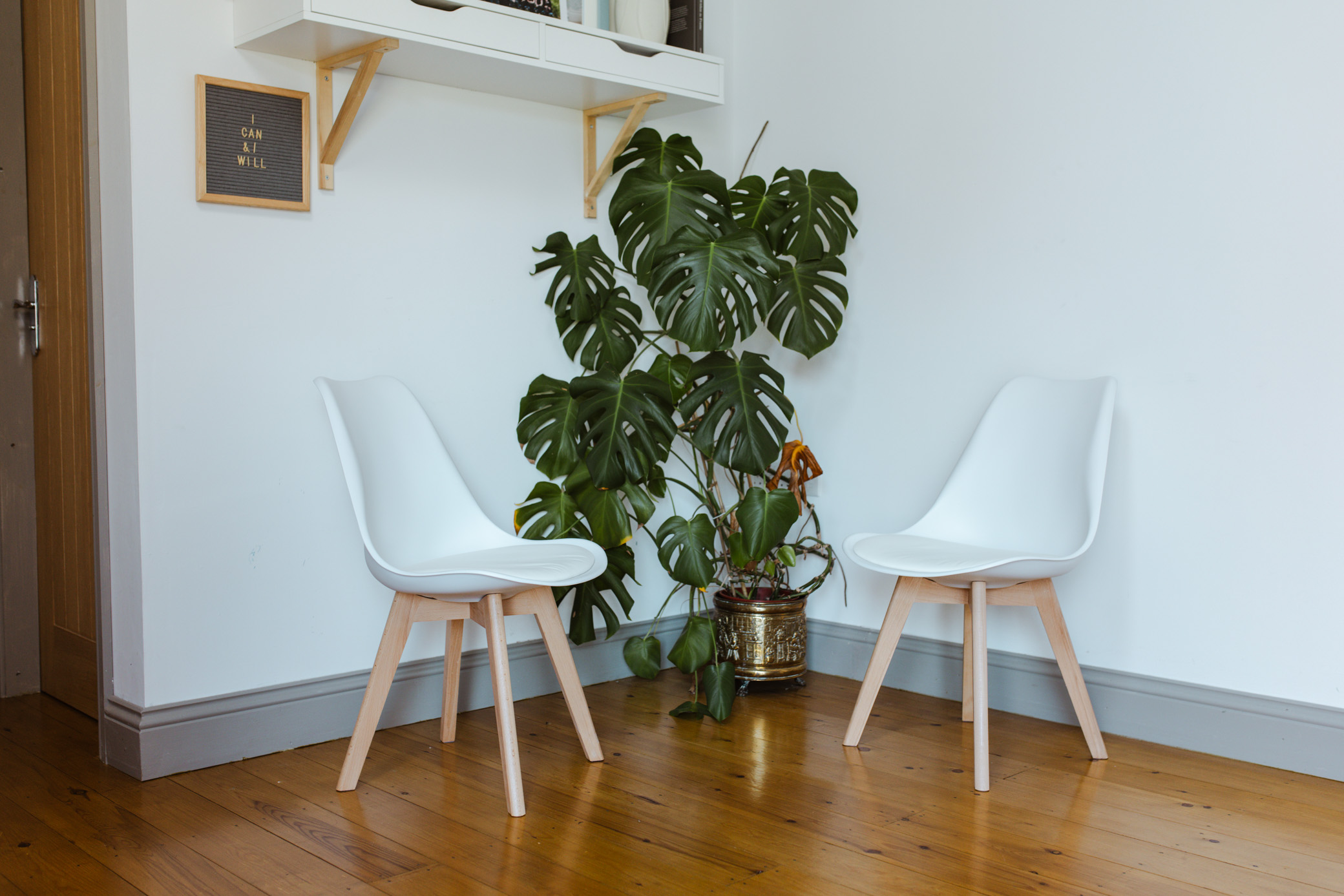 Inside the studio showing 2 white desk chairs in a corner with a large cheese plant.